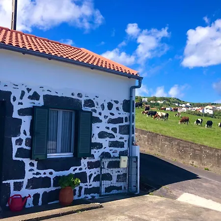 בית נופש Paraiso Da Pedreira נורדסטה